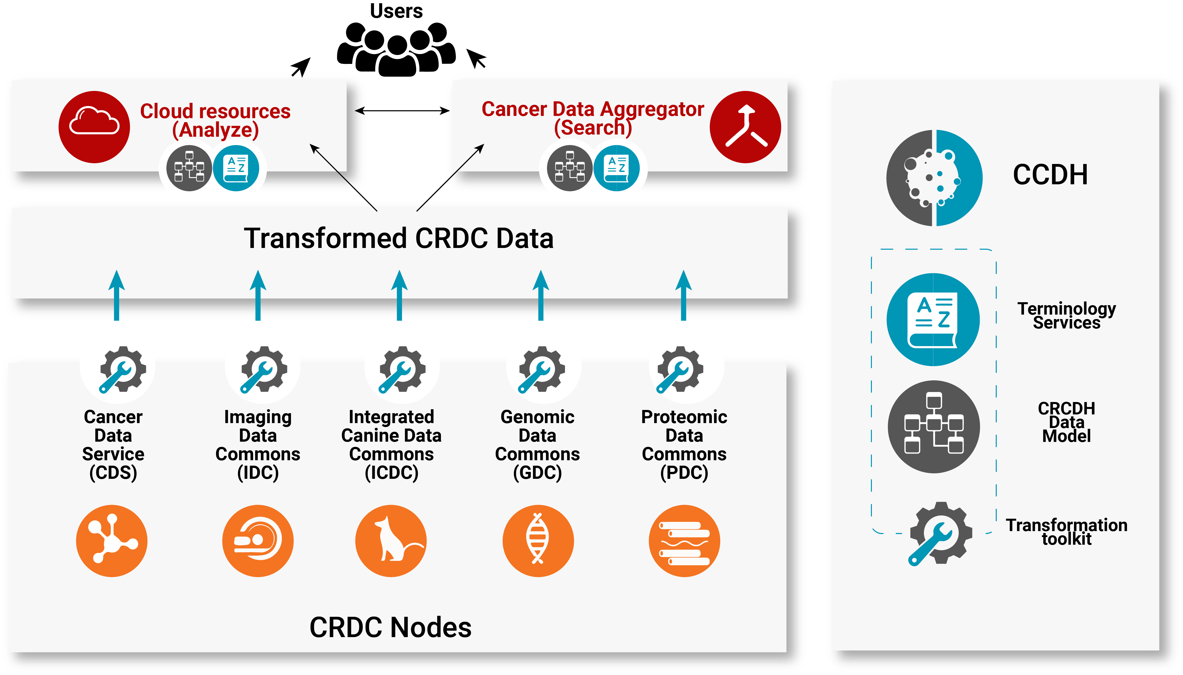 Data-flows-within-the-CCDH-project